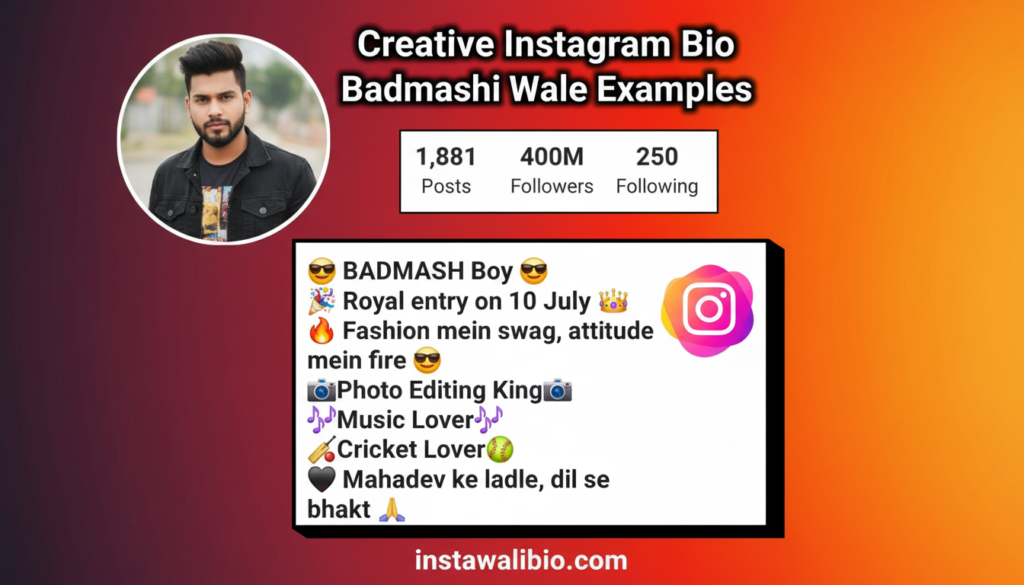 creative-instagram-bio-badmashi-wale-examples