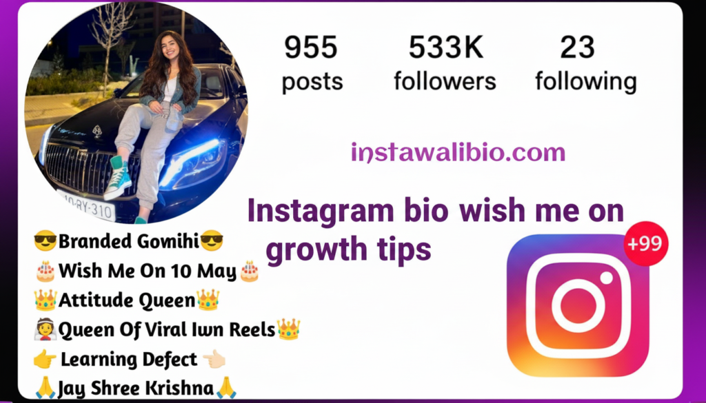 instagram-bio-wish-me-on-growth-tips