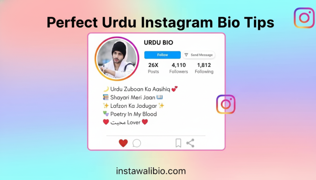 perfect-urdu-instagram-bio-tips
