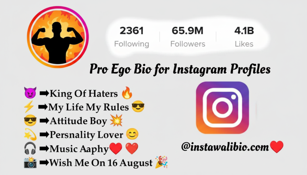 pro-ego-bio-for-instagram-profiles