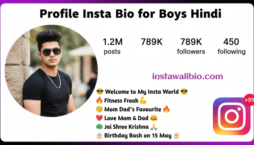 profile-insta-bio-for-boys-hindi