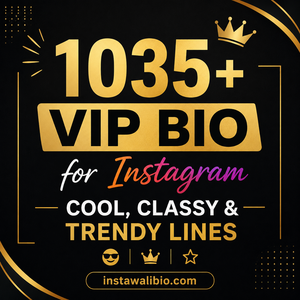 1035-vip-bio-for-instagram-cool-classy-and-trendy-lines