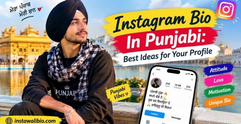 instagram-bio-in-punjabi-best-ideas-for-your-profile
